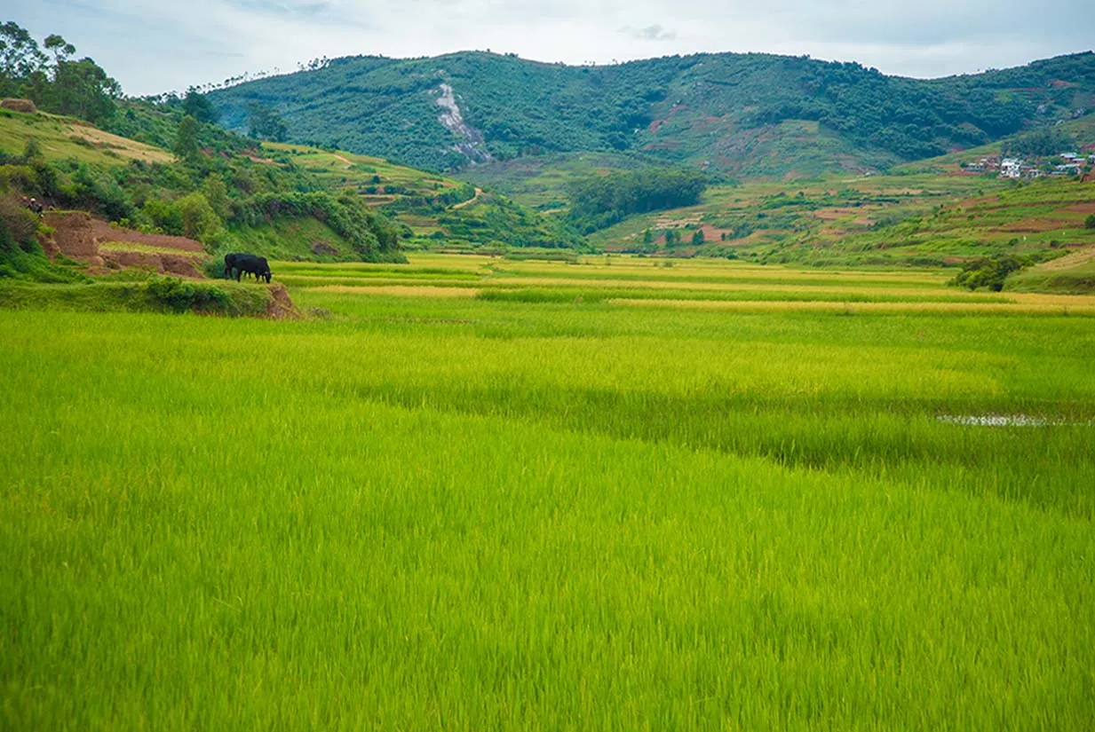 When to visit Madagascar